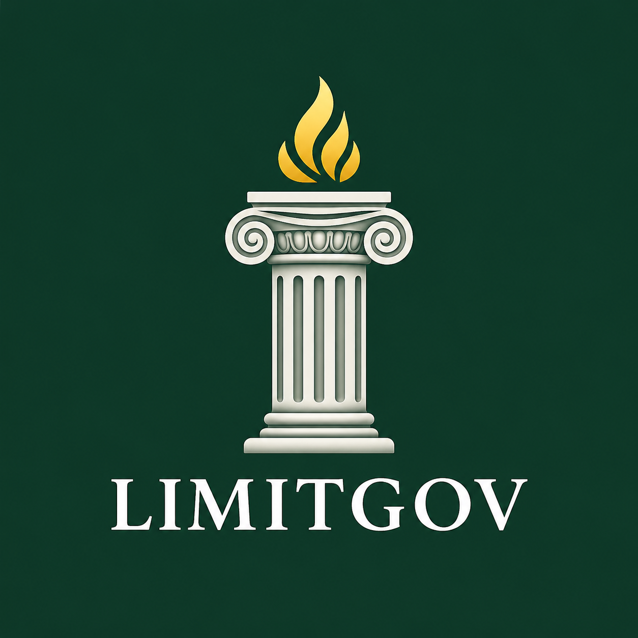 Limit Government Substack logo